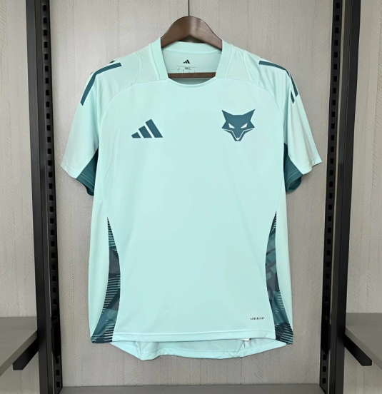 25/26 Cruzeiro Training Light Green Jersey S-XXXXL